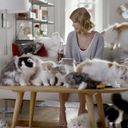 taylorswifts13cats avatar