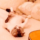 taylorswiftscatsitter avatar