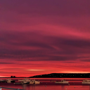 taylortavernelli avatar