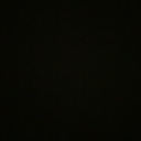 taylorwilsons avatar