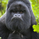 taylorwright27 avatar