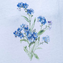 taysforgetmenots avatar