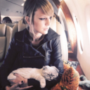 taytayswiftycat avatar