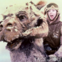 taytorcatcatcat avatar