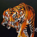 tazedtiger avatar