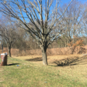 tazmania1692002 avatar