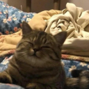 tbhkconfessions avatar