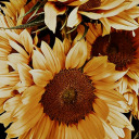 tcssagifpacks avatar