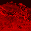 tdillustrates avatar