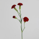 tea-and-freckles avatar