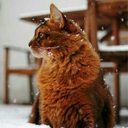 tea-candles-and-witchcraft avatar