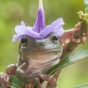 tea-cuddles-and-overthinking avatar