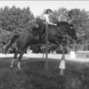 teach-me-to-jump-oxers avatar