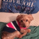 teach4life237 avatar