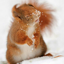 teachmehowtosnuggle avatar