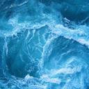 teacup-humans avatar