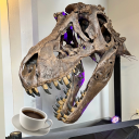 teacupdinosaurhunter avatar