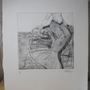 teacupofpoodle avatar