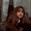 teacupstudies avatar