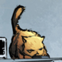 teakettlekitten avatar