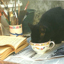 teakitten-blog avatar