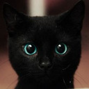 teal--eyes avatar