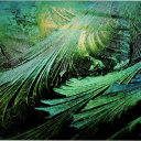 teal-addict avatar