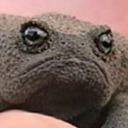 tealsmegtoaster avatar