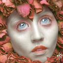 teamallisonharvard avatar