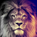 teamdoubleslap avatar