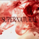 teamfreewill-rp avatar