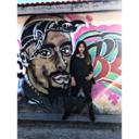 teamfreewill-sdc avatar