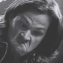 teamfreewill67 avatar