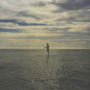 teamfroglogic avatar