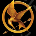 teammockingjay17-blog avatar