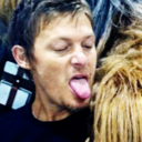 teamwhibley-blog avatar