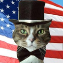 teapartycat avatar