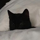 teapot-studies avatar