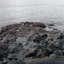 teapotoftheshortandstoutvariety avatar