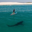 tearemanewone-blog avatar