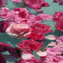 tearing-meapart avatar