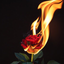 tears-in-the-rain avatar