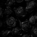 tearsandroses avatar