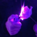 tearsaredreamin avatar