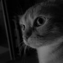 tearsarefallingdownmyface avatar
