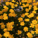 tearsmakingtracks avatar