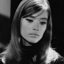 tearsonthegrass avatar