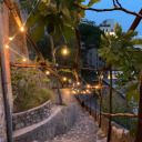 tearstoodintheireyes avatar