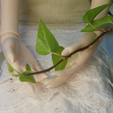 teatimedollapparel avatar