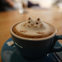 teawithoutmilk avatar